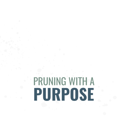 Pruning With A Purpose